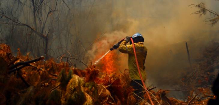 Reportan 53 incendios forestales a nivel nacional: siete se mantienen activos