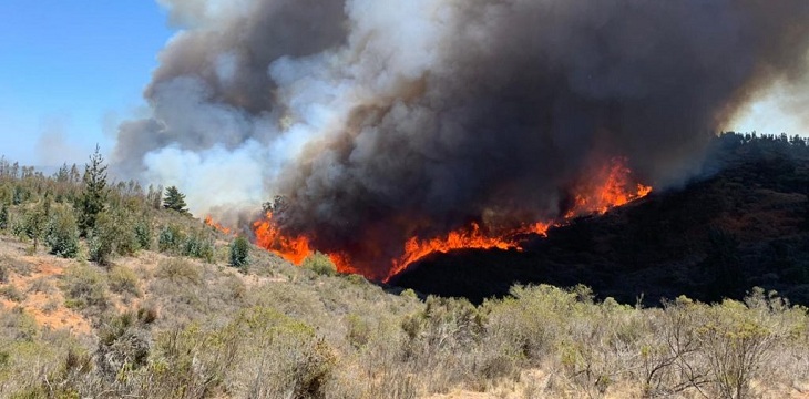 Declaran Alerta Roja en El Quisco y Amarilla en Casablanca por incendio forestal en sector Totoral