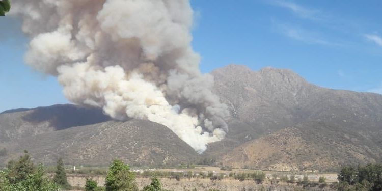 Incendio consume 80 hectáreas en Cajón del Maipo: declaran Alerta Amarilla para Pirque