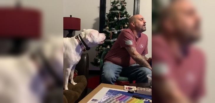 Perro realiza divertida 