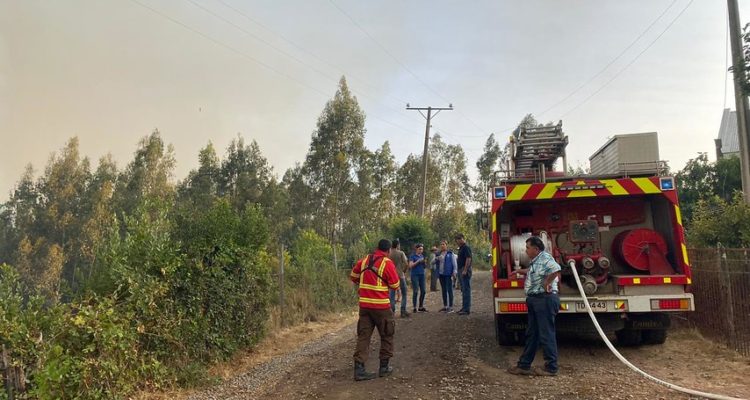 Mantienen Alerta Roja en Santa Juana por incendio forestal: ha consumido más de 450 hectáreas
