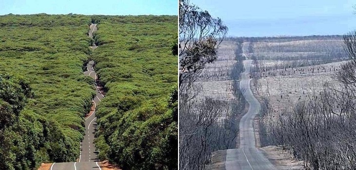 Es viral: dramática imagen muestra el 'antes y después' de una carretera tras incendios en Australia