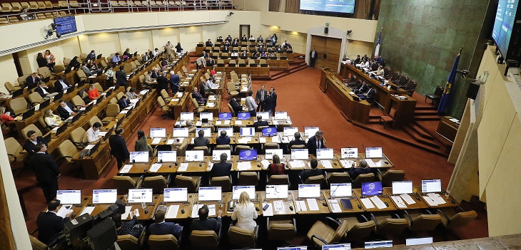 Los 10 diputados con asistencia perfecta al Congreso en 2019: Florcita Alarcón encabeza la lista