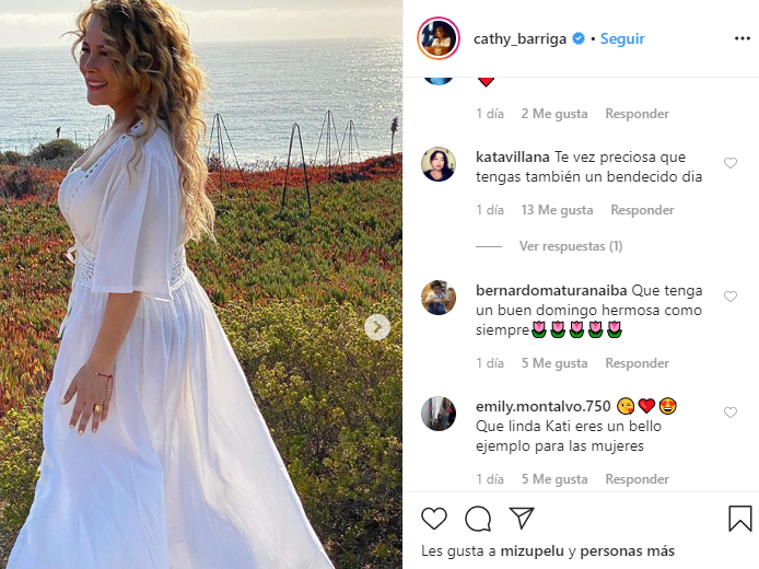 Apoyo de usuarios a Cathy Barriga 