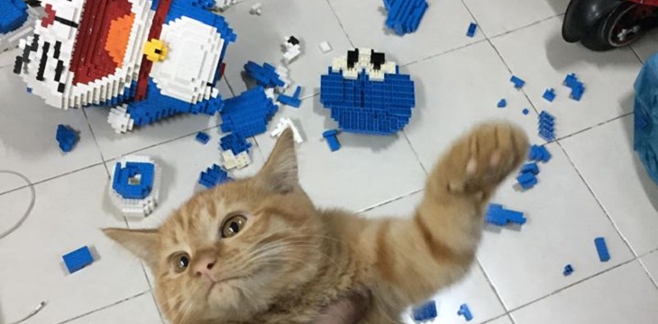 Hombre armó figura de lego de 2 mil piezas y su gato la destruyó de un salto: registro es viral