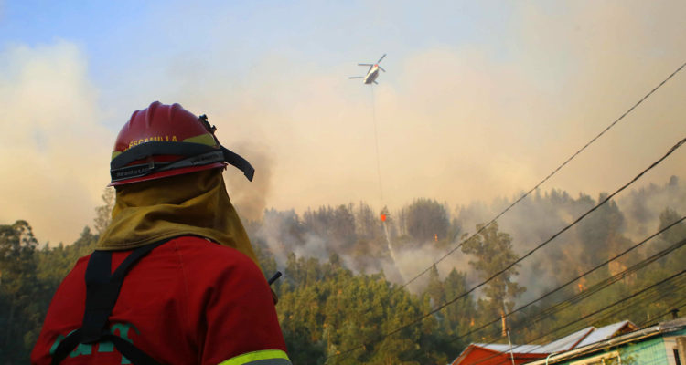 Incendio forestal en Chiguayante: confirman que 30 hectáreas de Reserva Nonguén han sido afectadas