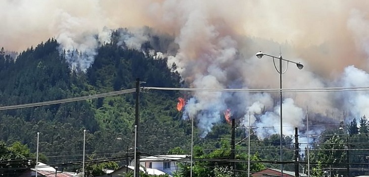 Alerta Roja comunal para Hualqui y Santa Juana por incendios forestales: se suman a Chiguayante