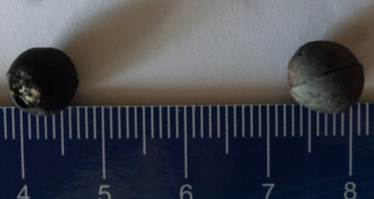 Gobierno aclara respuesta a la ONU por perdigones de goma: 