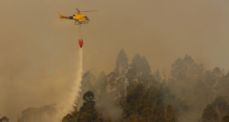 Suben a 1.800 las hectáreas afectadas por incendios en Bío Bío: Gobierno anuncia que se querellará