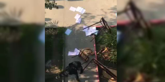 Encapuchados habrían robado pruebas y lanzado sillas en liceo de Viña del Mar donde se rendiría PSU