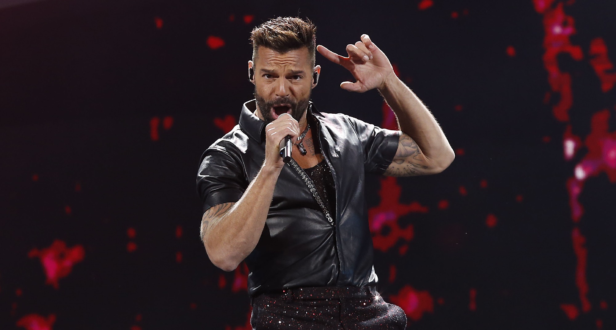 No se vio en TV abierta: apedrearon vehículo que trasladaba a Ricky Martin a la Quinta Vergara