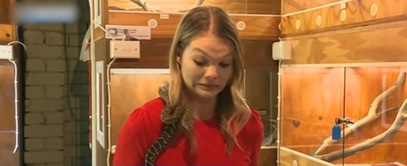 Periodista vivió espeluznante momento en despacho por culpa de una serpiente: casi la muerde en vivo