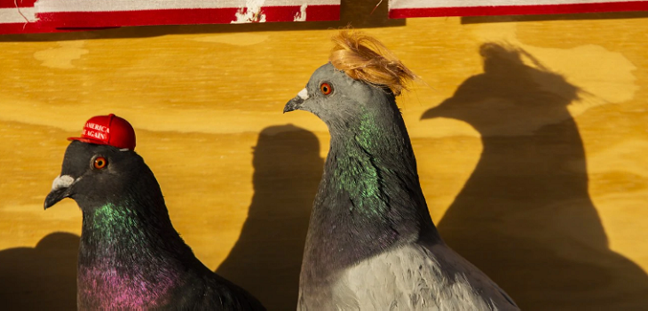 Particular protesta en Las Vegas por debate presidencial: grupo liberó palomas 