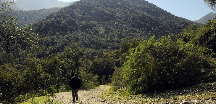 INE busca encuestadores para Censo Agropecuario y Forestal: ofrecen sueldo de $1 millón