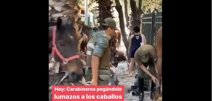 Interpondrán querella contra carabinero que dio lumazo a caballo en Santiago
