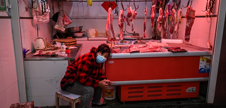 Ciudad china prohibió el consumo de animales silvestres para evitar futuras pandemias