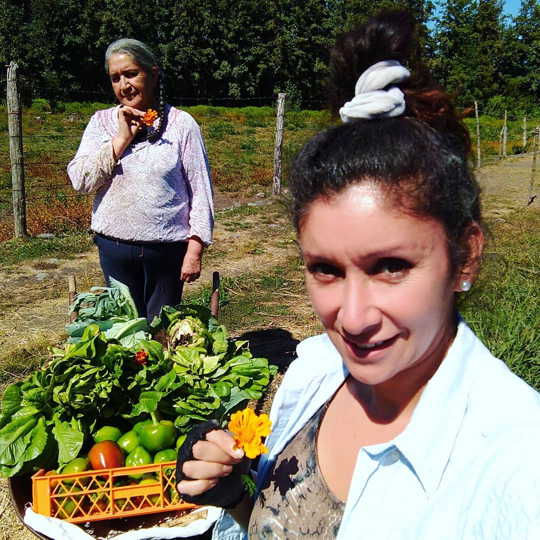 Angélica Sepúlveda 