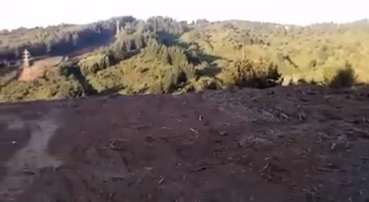 Video muestra humo emanando desde cerro en Concepción: especialistas descartan que sea un volcán