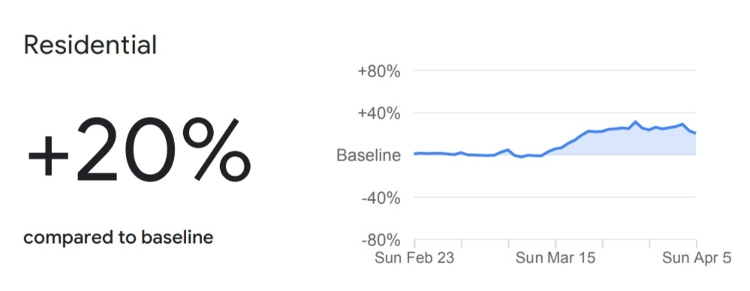 informe google sobre pandemia