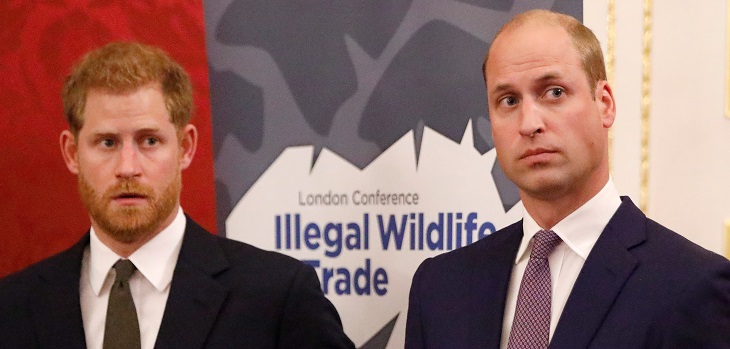 principes harry y william