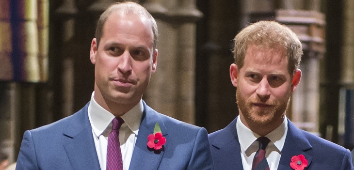 Harry y William furiosos con documental sobre Lady Di: afirma que quiso quitarse la vida cuatro veces