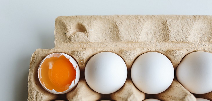 Maca Pizarro se sorprendió por huevo con dos yemas y preguntó por qué ocurre: conoce la explicación