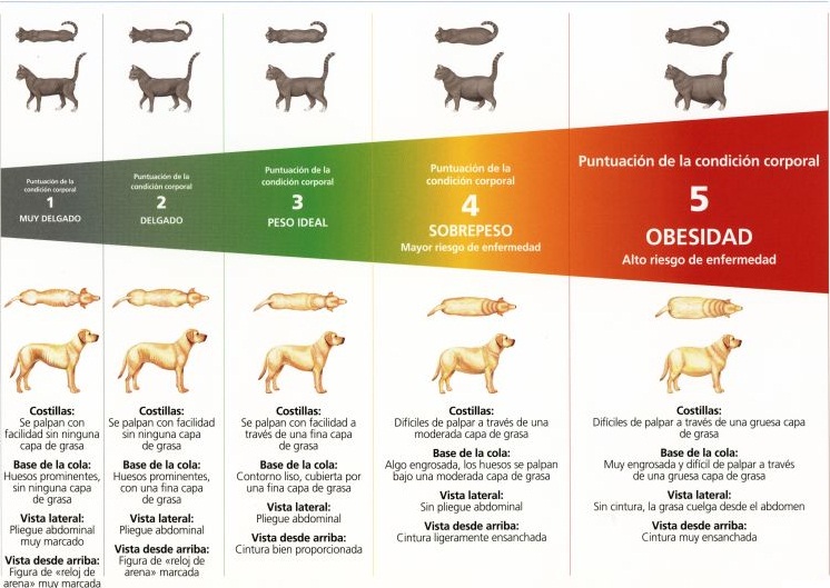 Especialista explica el cuidado que hay que tener en estos casos