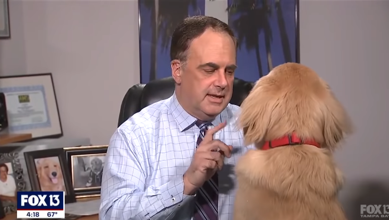 Meteorólogo de Fox 13 sufrió en vivo por culpa de su cariñoso (y adorable) perro: le tapó la cámara