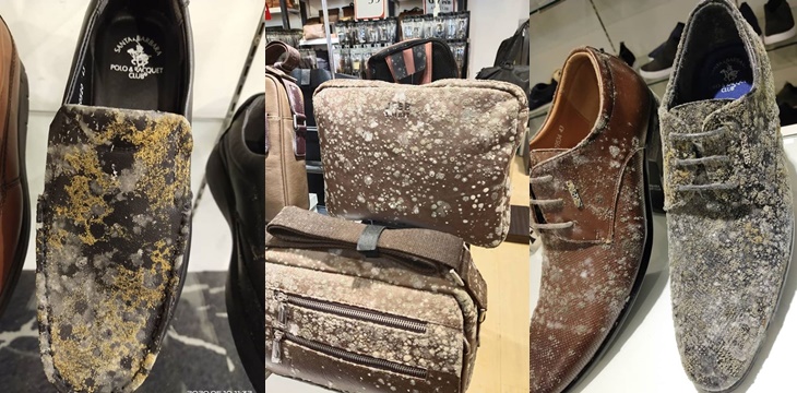 Tienda que estuvo cerrada 53 días enfrenta desagradable panorama: sus productos se llenaron de moho