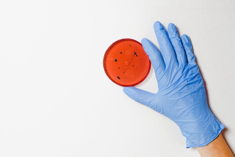 Estudio revela que el coronavirus es 