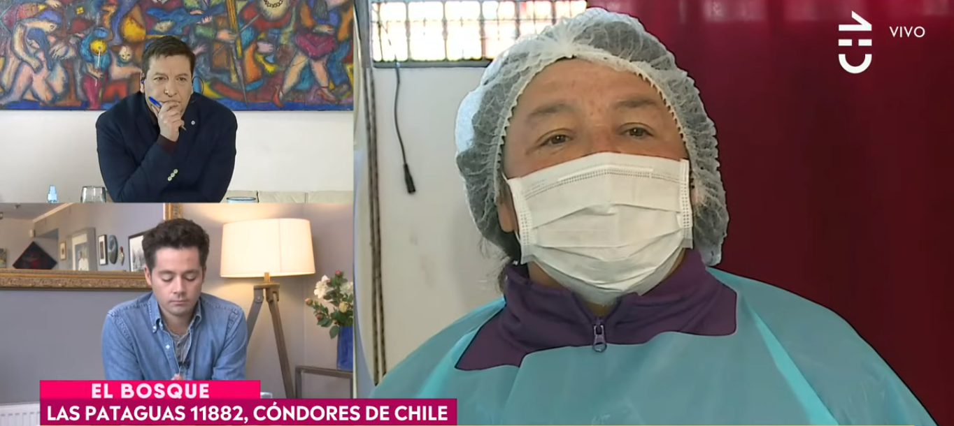 Líder de olla común de El Bosque a políticos: 