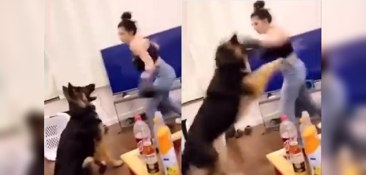 Mujer causó indignación tras usar a su perro como saco de boxeo: arriesga duras sanciones
