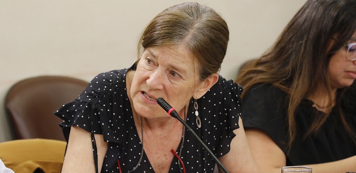 Directora del Sename renuncia tras polémico convenio con ANI y no contar 