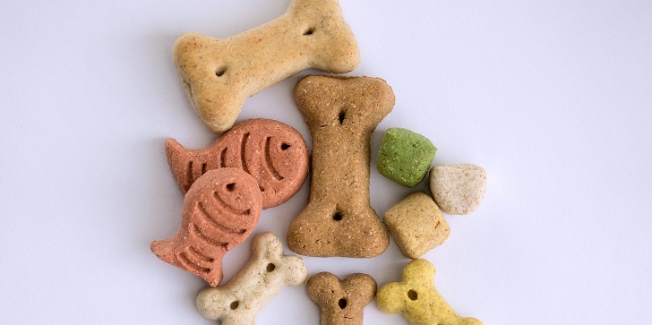 Ricos y saludables: los snacks que puedes prepararle a tus mascotas sin poner en riesgo su salud