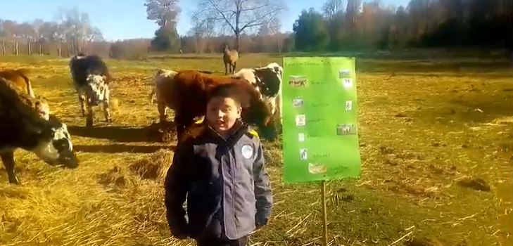 Sacó aplausos: niño de 9 años sorprende en redes sociales con ingeniosa disertación sobre animales