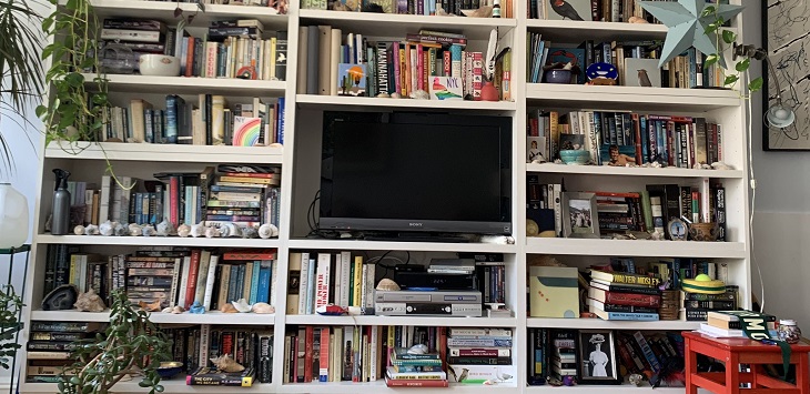 ¿Lo ves? El reto viral de encontrar al gato que tiene a cientos de personas pegadas a la pantalla