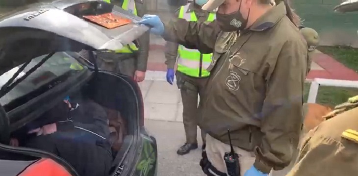 Perro policial descubrió a hombre oculto en maletero de taxi: intentaba evadir control sanitario