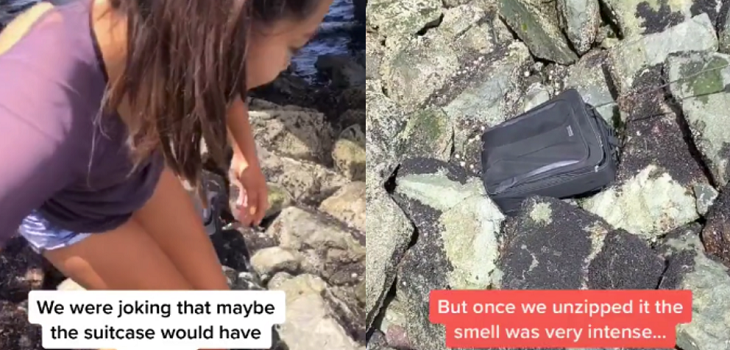 Pensaron que era dinero y encontraron un cadáver: jóvenes hallan maleta en roqueríos de Seattle