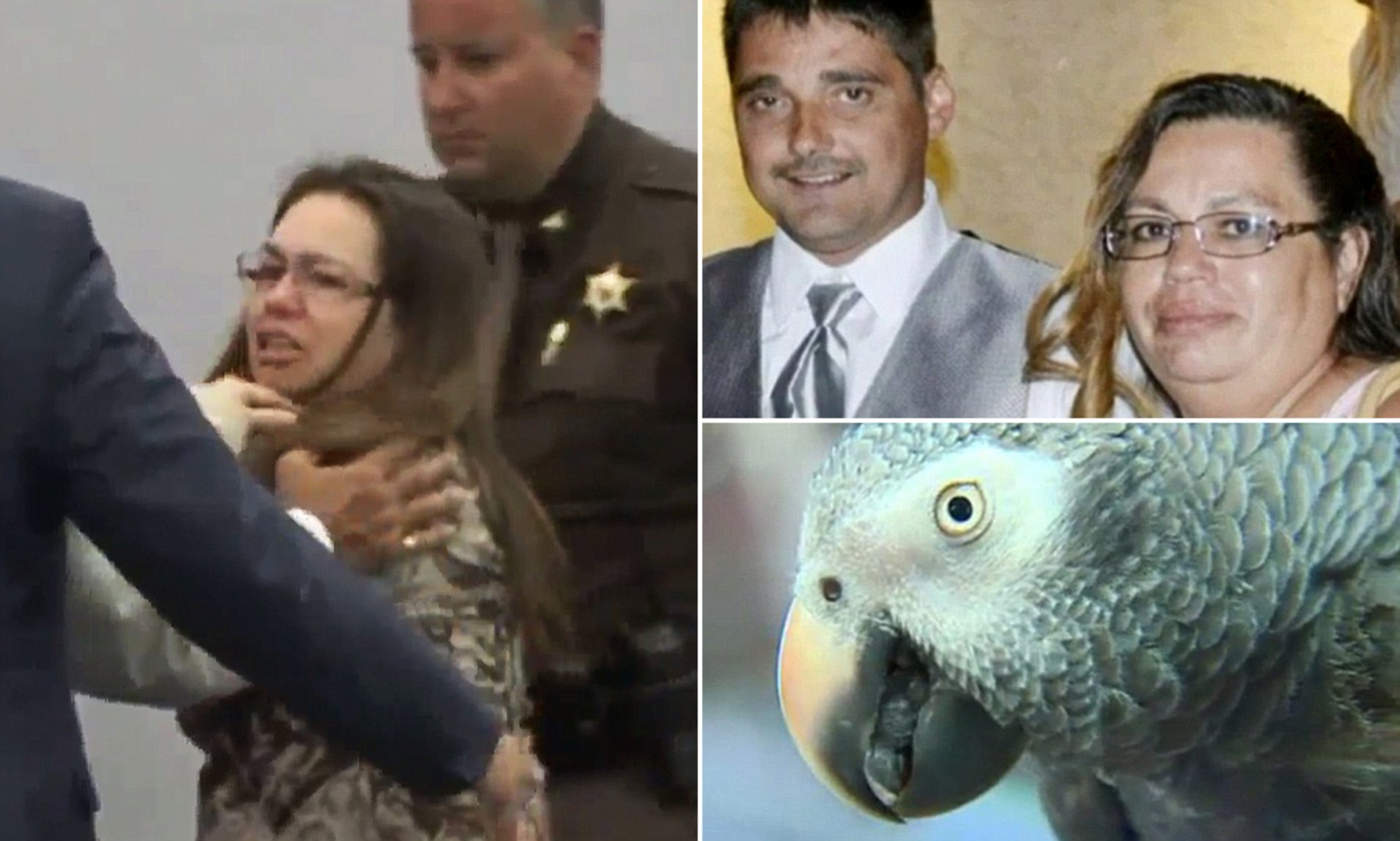 el caso de la mujer que asesinó a su marido y que fue delatada por su loro