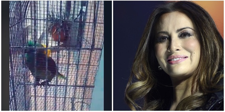 Loro sorprende a todos al imitar a Myriam Hernández: cantó 