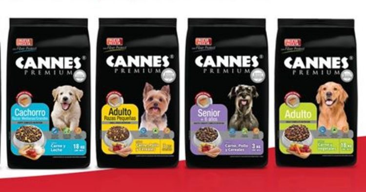 Sernac exige información del contenido de alimentos Cannes tras denuncias de muertes de perros