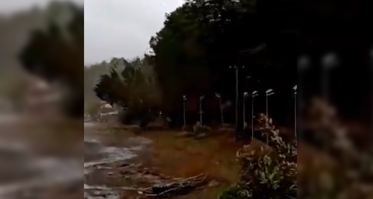 Tromba marina arrancó árbol de cerro en costa de Vichuquén: causó corte eléctrico y bloqueo de ruta
