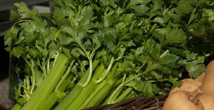 9 alimentos que te ayudarán a eliminar y prevenir la retención de líquidos