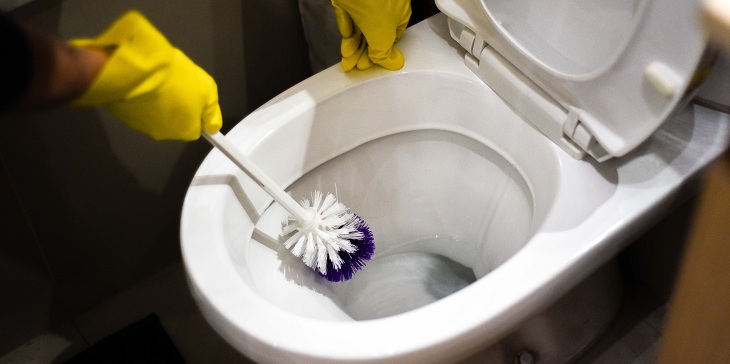 ¿Tapa arriba o tapa abajo? La forma correcta de tirar la cadena para prevenir el COVID y bacterias