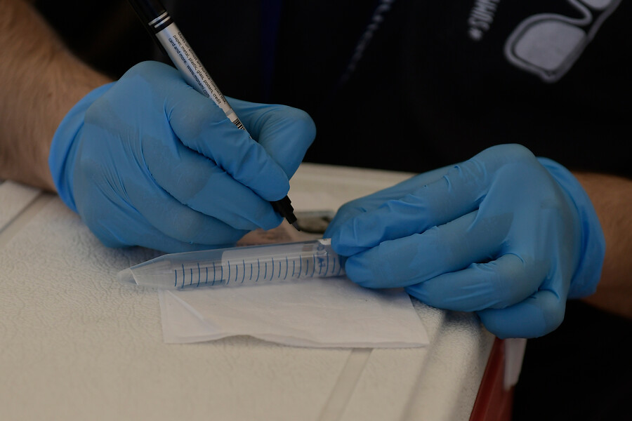 Balance COVID-19: Minsal informa 2.133 nuevos casos y lamenta 75 fallecidos