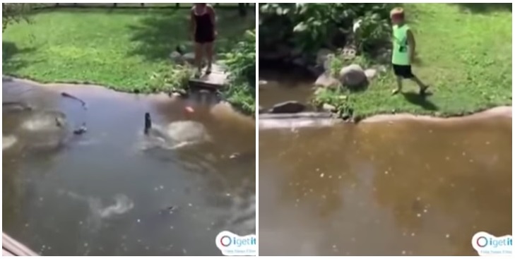 Todo por una billetera: el temerario salto de una mujer y su hijo a un estanque con 35 cocodrilos