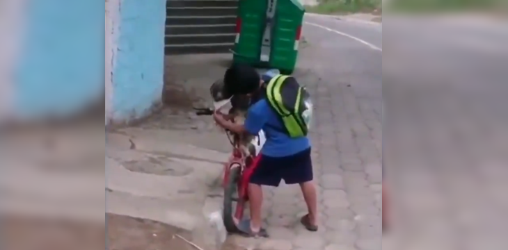 El adorable gesto de un niño en Ecuador para cuidar a su perro del COVID-19: le puso una mascarilla