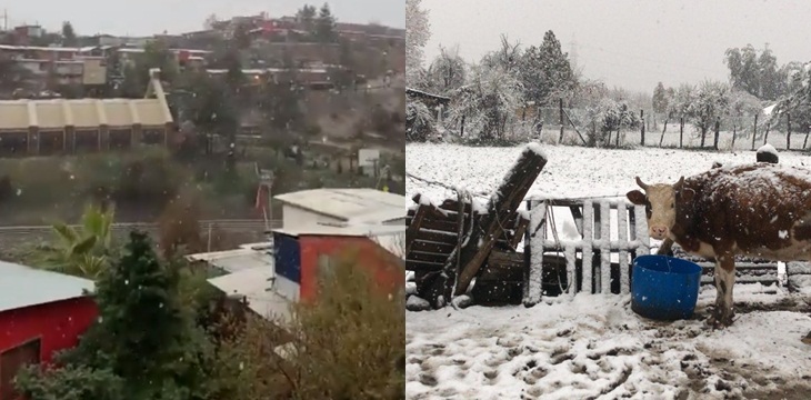 Reportan importante caída de nieve en sector oriente de Santiago y en la región de O'Higgins