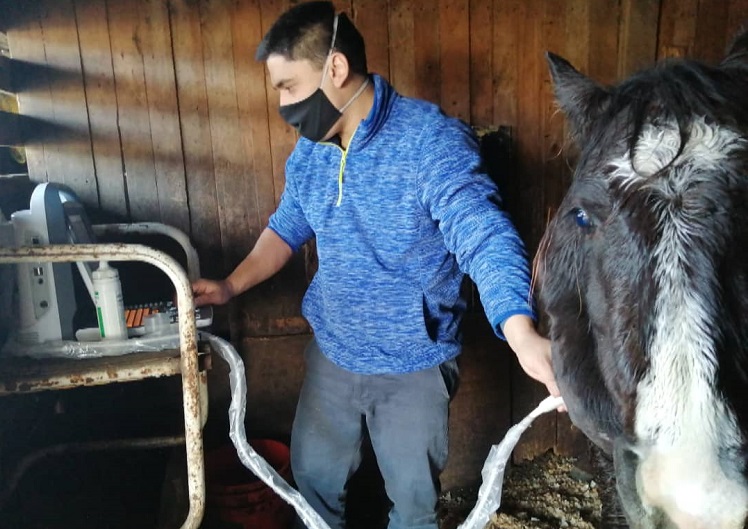 denuncian maltrato a caballo