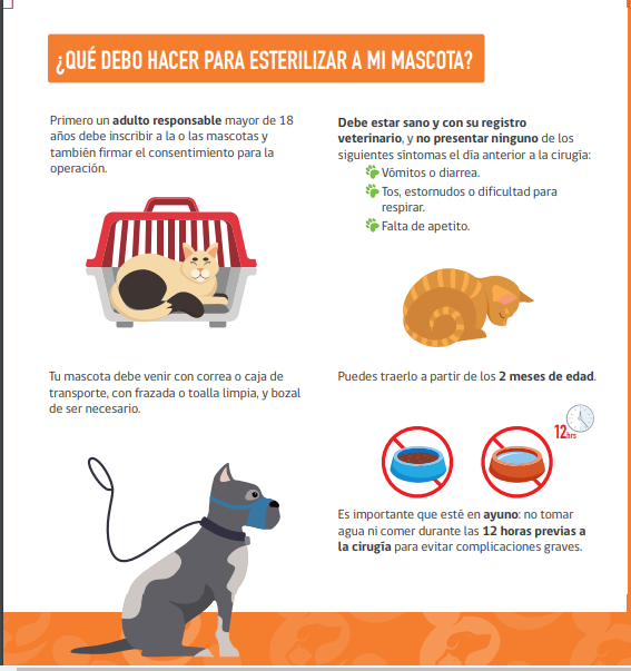 Esterilizar mascota